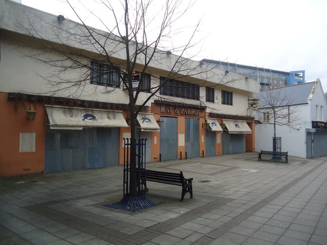 Rat & Parrot, Woking