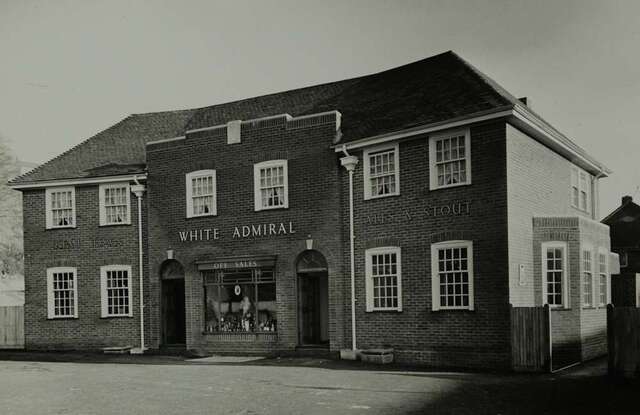 White Admiral, Brighton