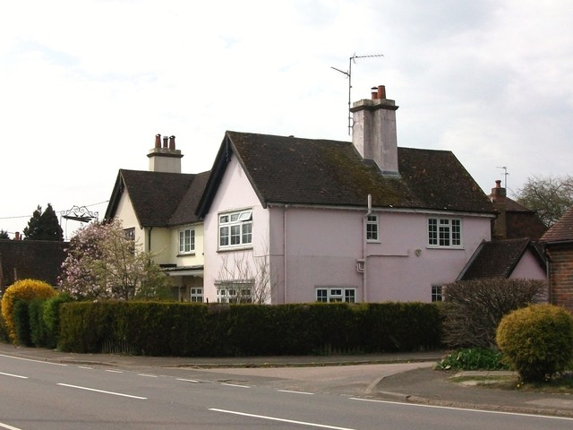 The Crocodile, Danehill