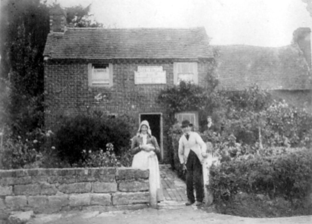 The Crocodile, Danehill