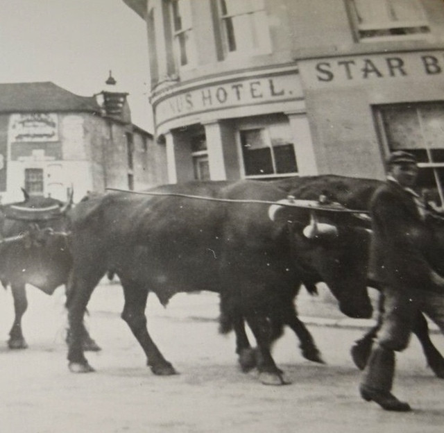 Terminus Hotel, Hailsham