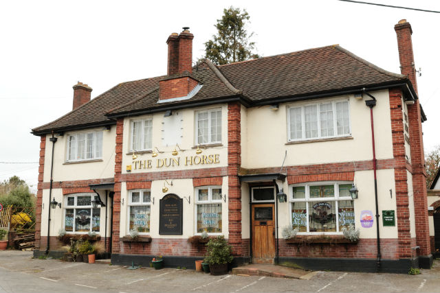 Dun Horse, Mannings Heath