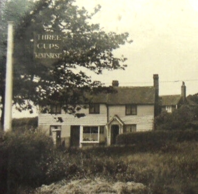 Three Cups, Punnetts Town