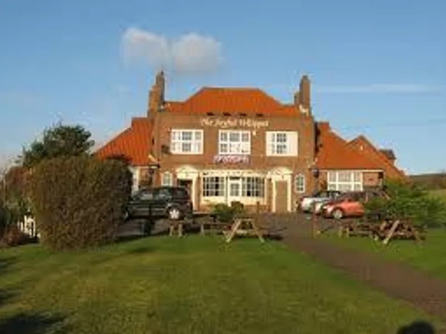 Joyful Whippet, Sompting
