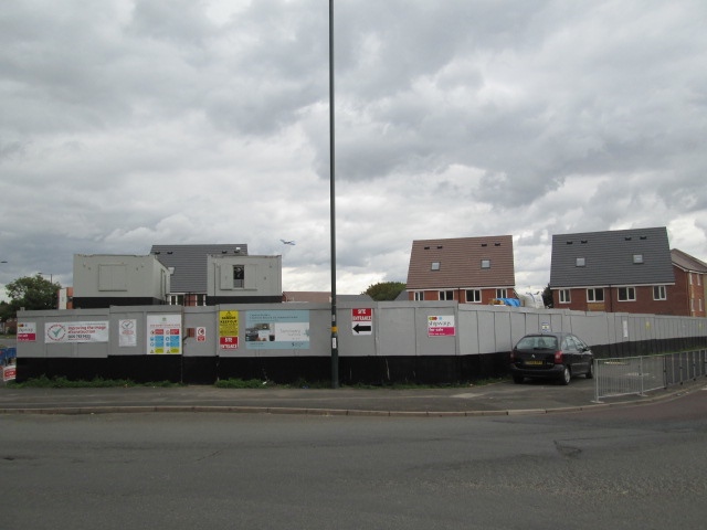 Chestnut Tree, Birmingham