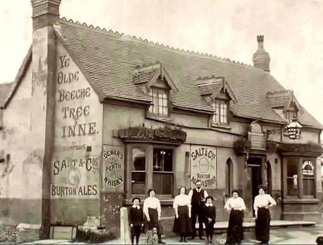 Ye Old Beech Tree, Birmingham