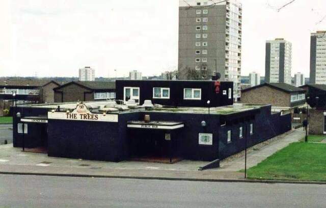 The Tree, Birmingham
