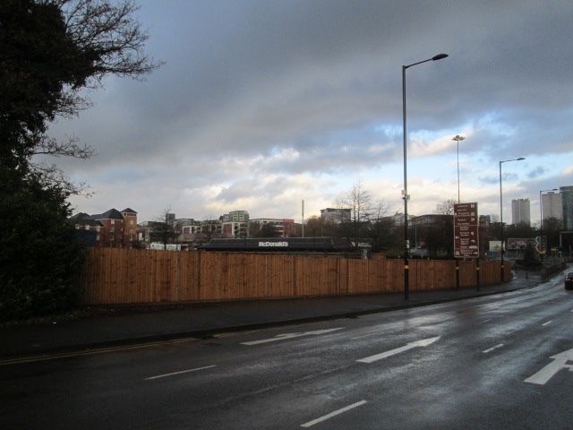 The Trees, Birmingham