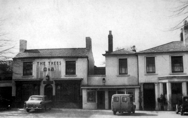 The Trees, Birmingham