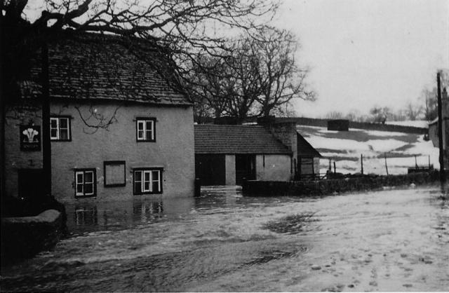 Plume Of Feathers, Burton