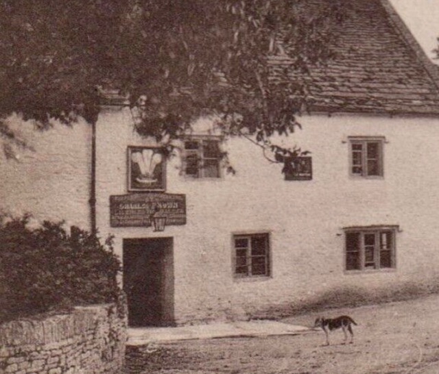 Plume Of Feathers, Burton