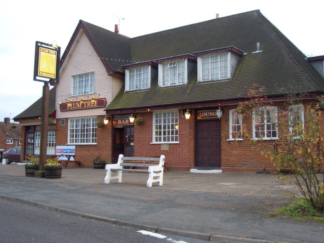 Plum Tree, Pershore