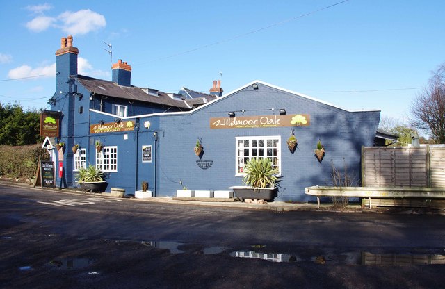 Wildmoor Oak, Wildmoor