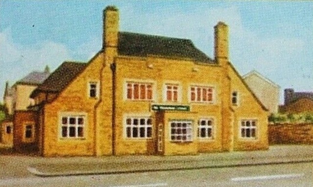 Golden Pheasant, Halifax