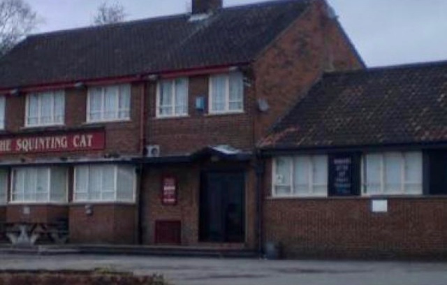 Squinting Cat, Leeds, LS14