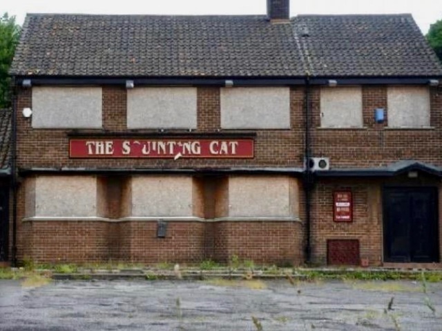 Squinting Cat, Leeds, LS14