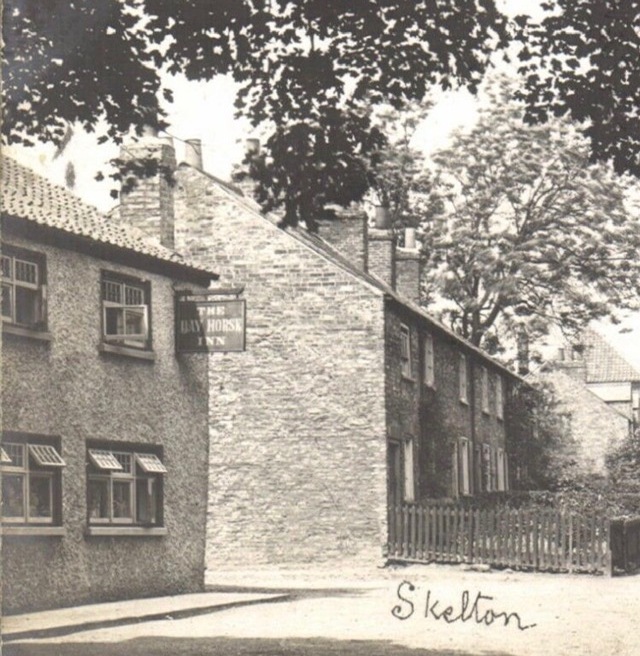 Bay Horse, Skelton