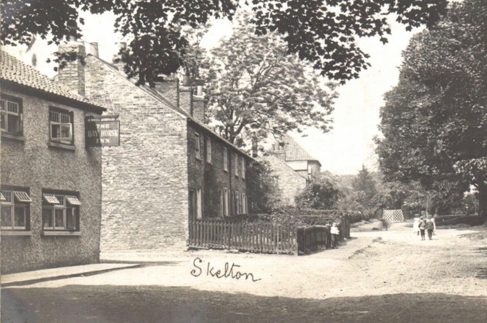 Bay Horse, Skelton