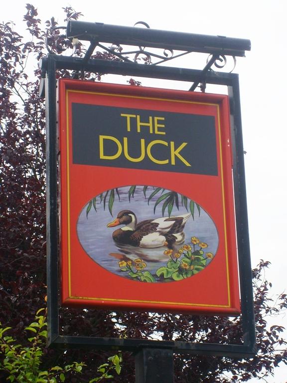 The Duck, Aylesbury The Duck, Aylesbury