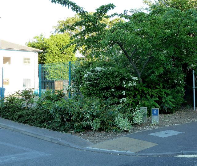Claremont Arms, Cambridge Claremont Arms, Cambridge