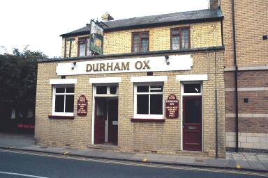 Durham Ox, Cambridge Durham Ox, Cambridge