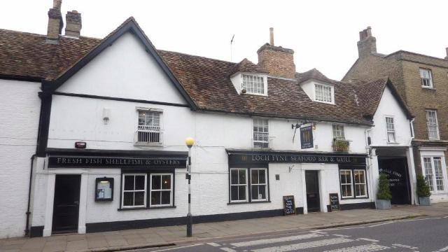 Little Rose, Cambridge Little Rose, Cambridge