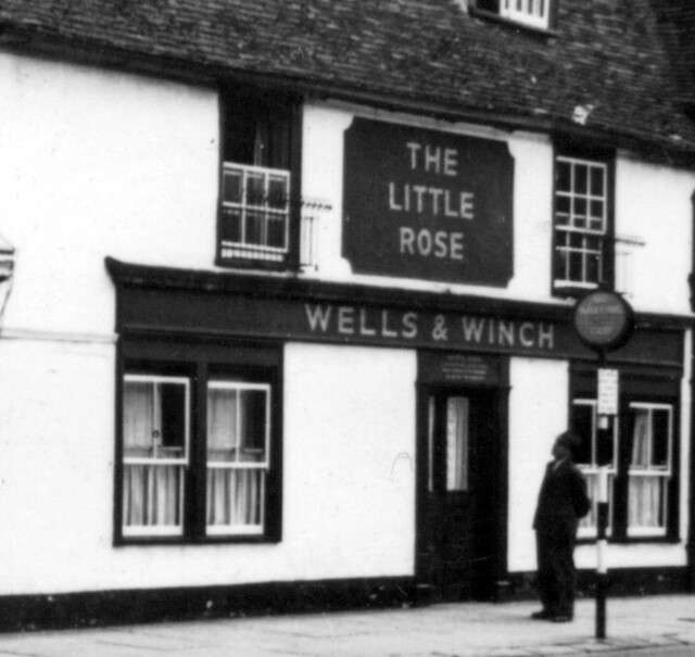 Little Rose, Cambridge Little Rose, Cambridge
