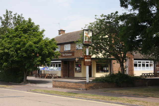 The Palomino, Newmarket The Palomino, Newmarket