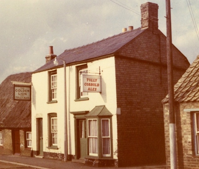 Golden Lion, Over