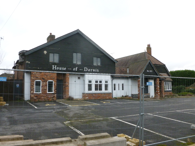 Golden Pheasant, Derby, DE24 Golden Pheasant, Derby, DE24