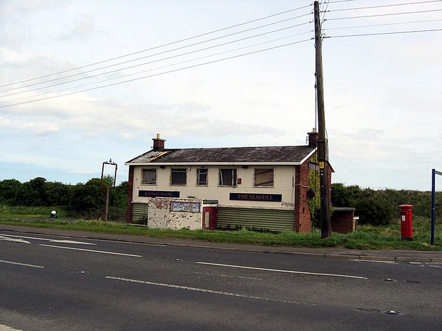 The Seagull, Blackhall Rocks