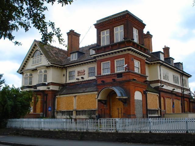 Bald Hind, Chigwell Bald Hind, Chigwell