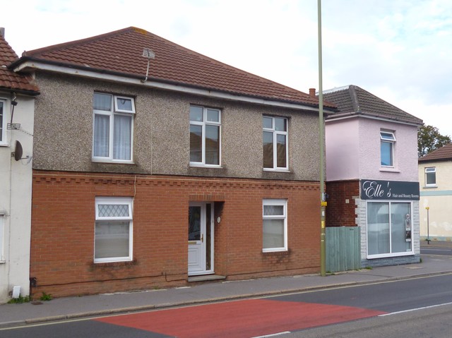Elm Tree, Gosport Elm Tree, Gosport
