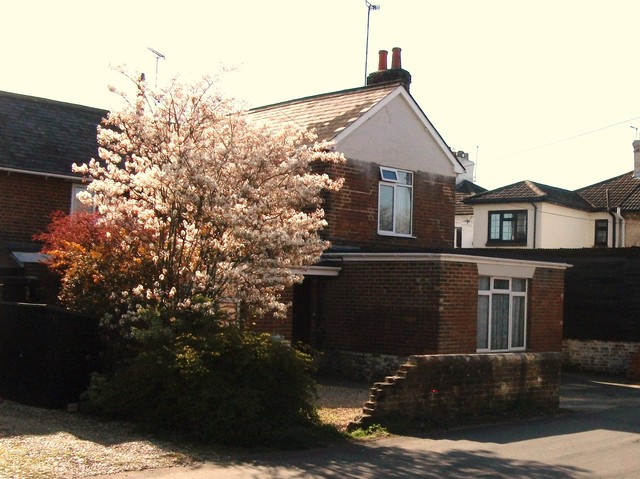 Railway Arms, Ringwood Railway Arms, Ringwood