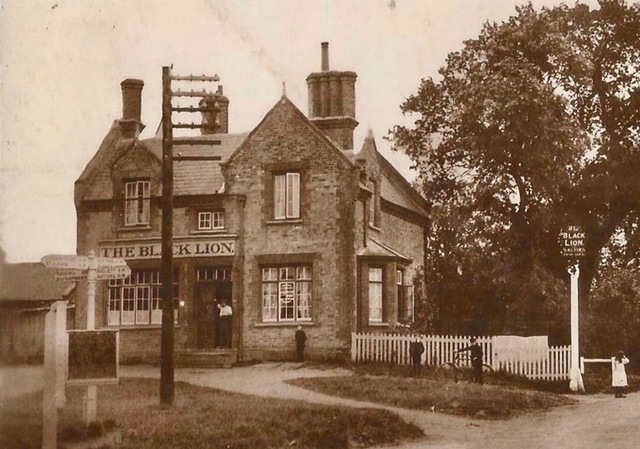 Black Lion, Shenley Black Lion, Shenley