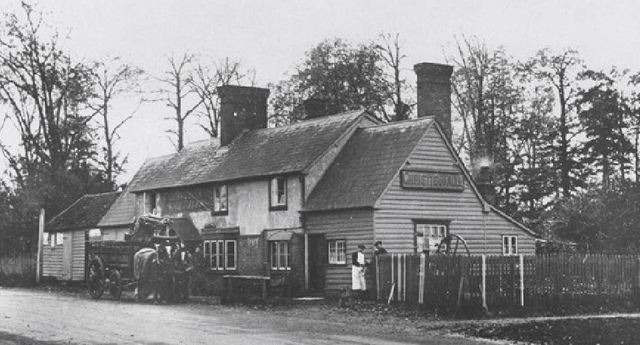Sow & Pigs, Thundridge Sow & Pigs, Thundridge