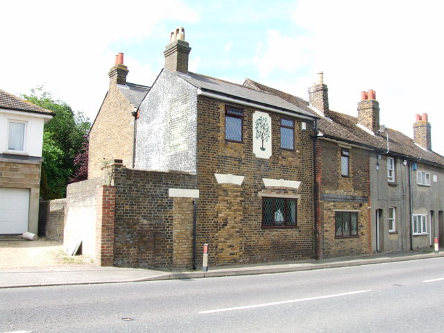 Mulberry Bush, Grange Mulberry Bush, Grange