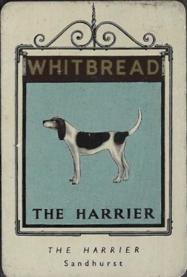 The Harrier, Sandhurst