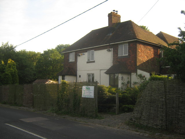 Chequer Tree, Sevenoaks Weald Chequer Tree, Sevenoaks Weald