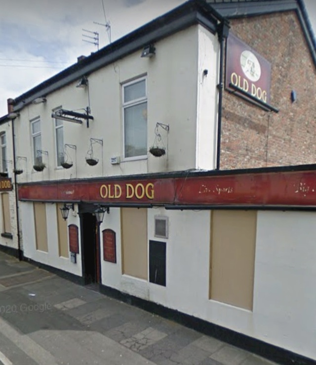 Old Dog, Denton Old Dog, Denton