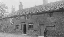 Cow & Calves, Hindley Green Cow & Calves, Hindley Green