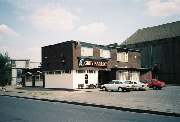 Grey Parrot, Hulme