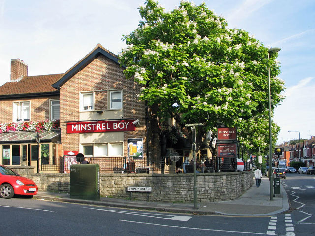 Minstrel Boy, Muswell Hill