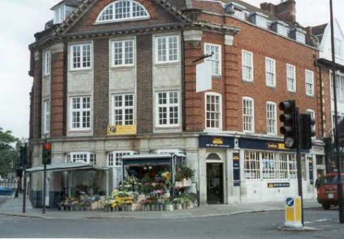 Queen's Elm, Chelsea