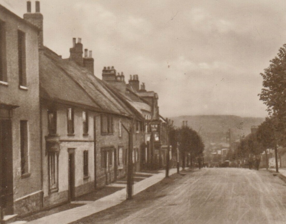 New Inn, Chard
