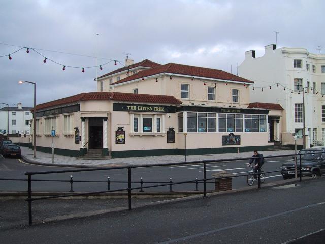 Litten Tree, Worthing Litten Tree, Worthing
