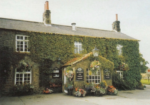 Bay Horse, Burnt Yates Bay Horse, Burnt Yates